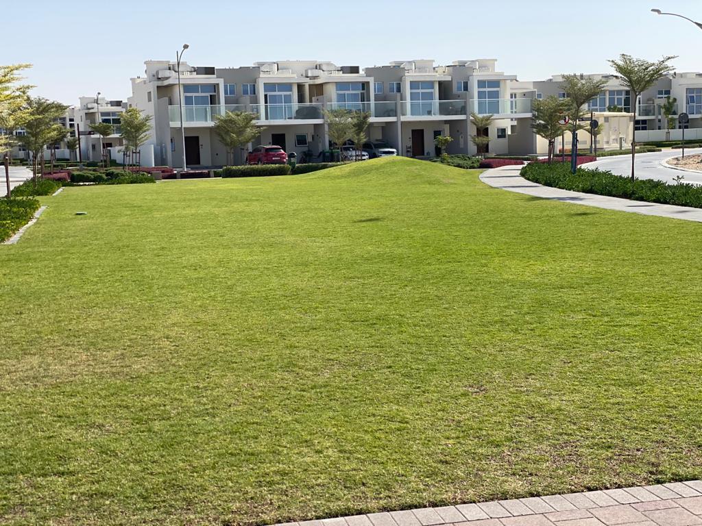 golf facing villas in dubai just cavalli villas dubai